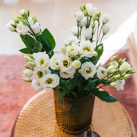 Ivory - Loftaffair Daire *